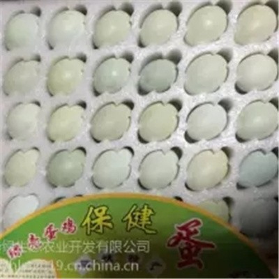 高产黑羽绿壳蛋鸡 高产麻羽绿壳蛋鸡 五黑一绿绿壳蛋鸡种蛋 湖北华绿生态农业