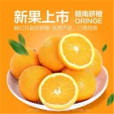 正宗赣南脐橙顺桂源高山橙果径70-75MM生态果现摘现发产地直供9省包邮图3