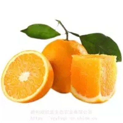 正宗赣南脐橙顺桂源高山橙精品果10斤产地直供现摘现发9省包邮图5