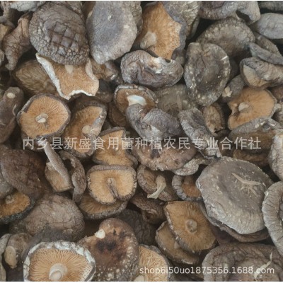 精品香菇干货西峡产地工厂直销精选大片香菇大厚菇实力工厂图4