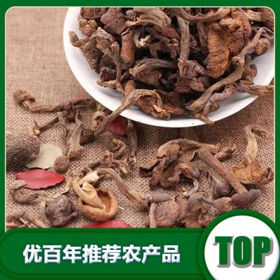 北方榛蘑厂家批发干货榛蘑批发货源批发图3