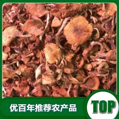 北方榛蘑厂家批发干货榛蘑批发货源批发图4