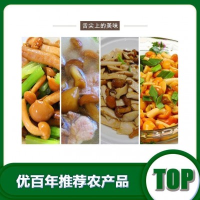 北方滑子蘑北方滑子蘑厂家批发干货滑子蘑批发货源批发