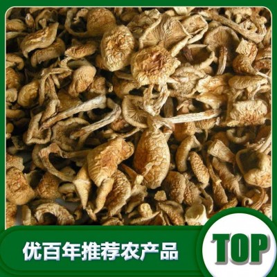 北方滑子蘑北方滑子蘑厂家批发干货滑子蘑批发货源批发图5