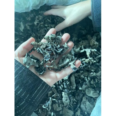 东北黑木耳小朵新货纯净重无添加肉厚商用家用批发大朵干货黑木耳图3