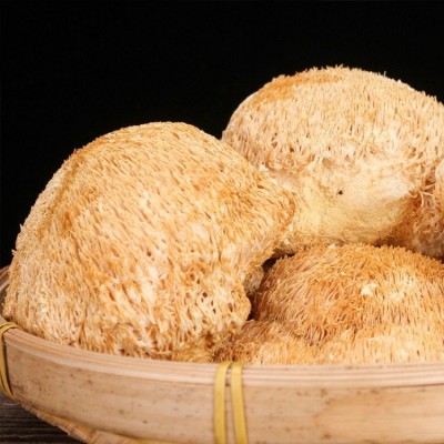 猴头菇 东北大兴安岭特产500克猴头蘑新鲜自家采摘食用菌现货批发图4