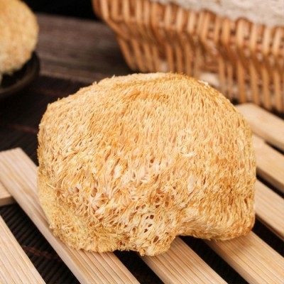猴头菇 东北大兴安岭特产500克猴头蘑新鲜自家采摘食用菌现货批发图3