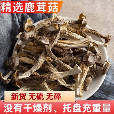 厂家直供鹿茸菇干货鹿茸菌产地直发非野生脆脆菇干菇煲汤蘑菇香菇图2