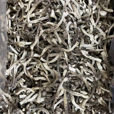 菌汤鹿茸菇鹿茸菌干货包装散装批发如意情鹿茸菇多种规格产地批发图2