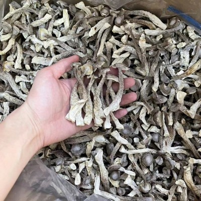 菌汤鹿茸菇鹿茸菌干货包装散装批发如意情鹿茸菇多种规格产地批发图5
