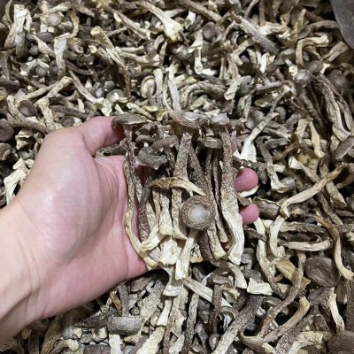 菌汤鹿茸菇鹿茸菌干货包装散装批发如意情鹿茸菇多种规格产地批发图3