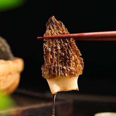 羊肚菌干货原产地新货头茬羊肚菌干菌剪柄食用羊肚菌源头厂家批发图4