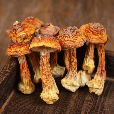 云南姬松茸干松茸新货巴西菇蘑菇煲汤赤松茸菌食用菌干货现货批发图5