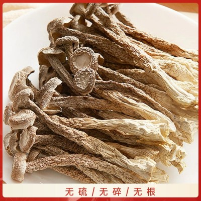 【福康霖洋】云南美味鹿茸菇2023年新货产地直供图2