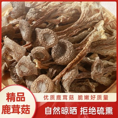 【福康霖洋】云南美味鹿茸菇2023年新货产地直供
