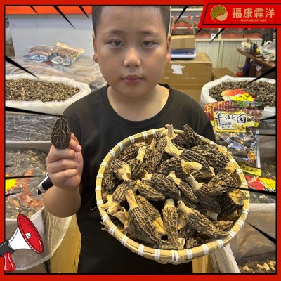 【精品羊肚菌】5-8中个头厂家批发图3