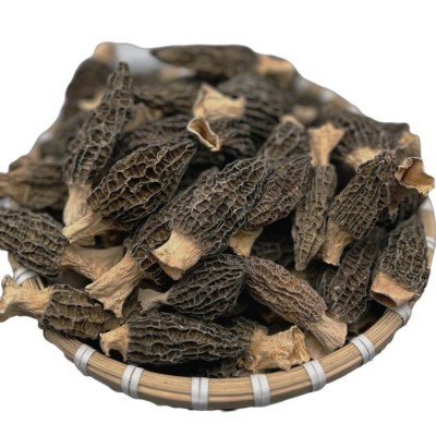 【精品羊肚菌】5-8中个头厂家批发图5