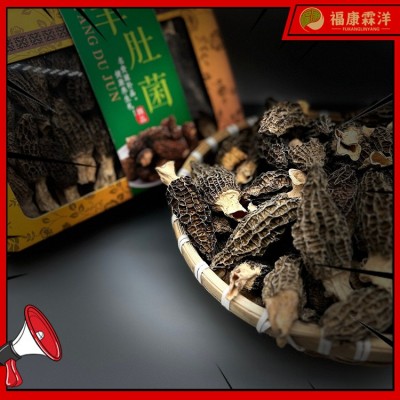 【精品羊肚菌】5-8中个头厂家批发图4