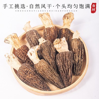 羊肚菌干货云南土特产菌营养菌菇2024新货煲汤羊肚菌现货批发图2