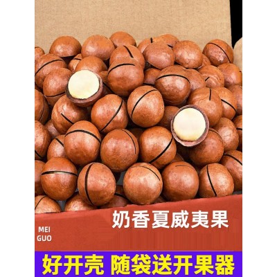 夏威夷果【代发】奶油味大颗粒坚果批发 薄皮坚果零食夏威夷果图3