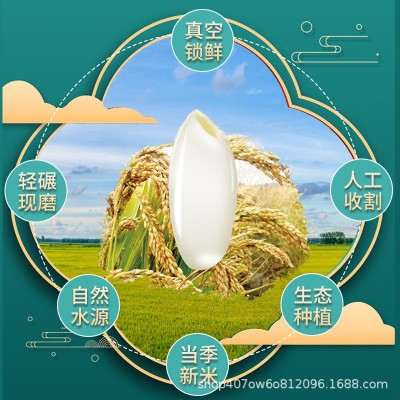 徽粒香特选珍珠米700g新米小包装梗米软糯香甜圆粒米批发一件代发图2
