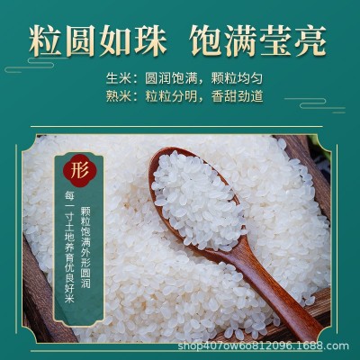 徽粒香特选珍珠米700g新米小包装梗米软糯香甜圆粒米批发一件代发图4