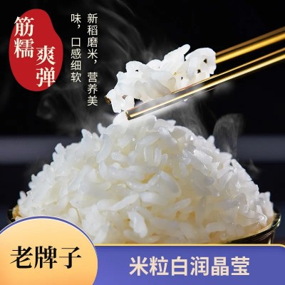 【巢湖旺】5kg新鲜猫牙米长粒香米煲仔饭炒饭米饭丝苗米厂家直营图2