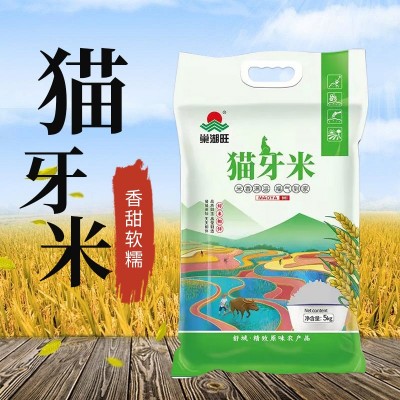 【巢湖旺】5kg新鲜猫牙米长粒香米煲仔饭炒饭米饭丝苗米厂家直营图3