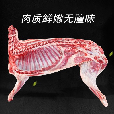 宁夏盐池滩羊 新鲜现杀整只白条羊 烤全羊手抓羊肉烧烤火锅涮羊肉图3