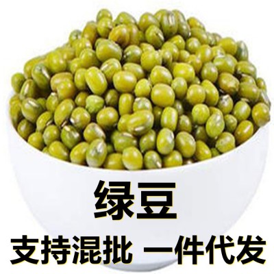 新鲜绿豆250-500克产地直供应季新货颗粒饱满搭配杂粮粥 食品配料图2