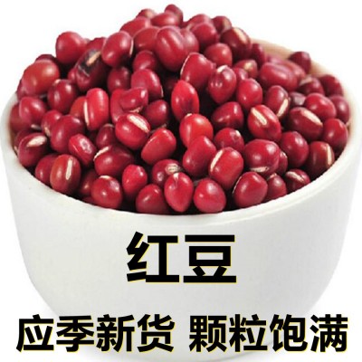 新鲜红豆250-500克产地直供应季新货颗粒饱满搭配早餐杂粮粥配料