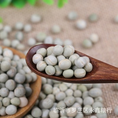 散装绿豌豆五谷杂粮袋装100斤油炸食品带皮青豌豆粒青豌豆批发图3