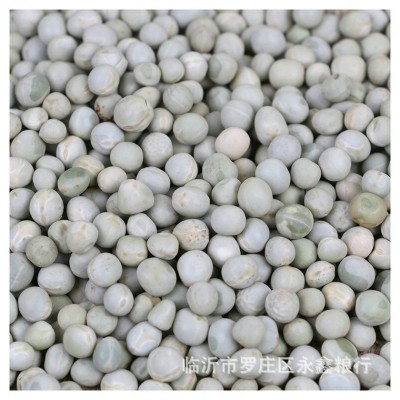 散装绿豌豆五谷杂粮袋装100斤油炸食品带皮青豌豆粒青豌豆批发图4
