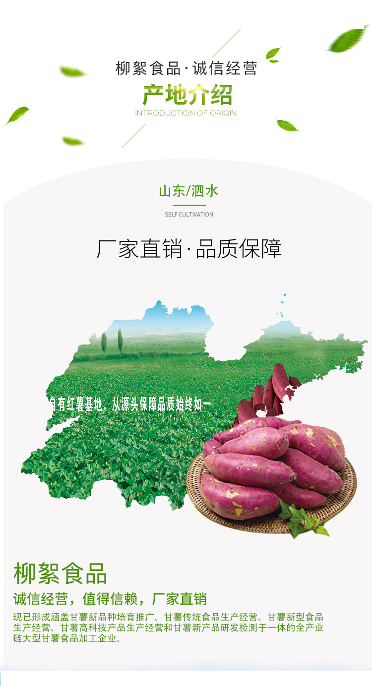 红薯淀粉_05.jpg