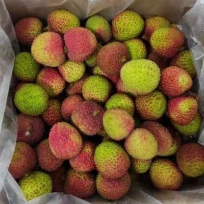新鲜荔枝妃子笑一件代发批发当季水果荔枝王无核荔枝桂味可供出口图4