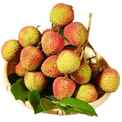 新鲜荔枝妃子笑一件代发批发当季水果荔枝王无核荔枝桂味可供出口图5