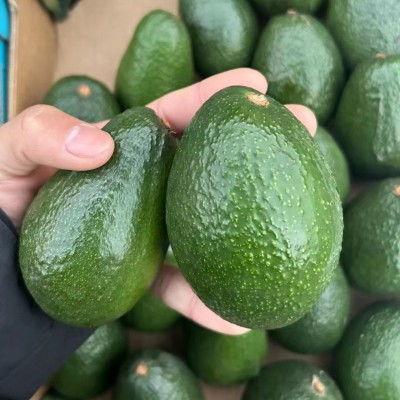 批发进口牛油果生果即食熟果智利墨西哥秘鲁整箱催熟果批发图3