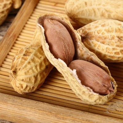 核桃味小珍珠新花生休闲零食散装坚果炒货2.5公斤厂家批发图4