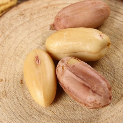 核桃味小珍珠新花生休闲零食散装坚果炒货2.5公斤厂家批发图2