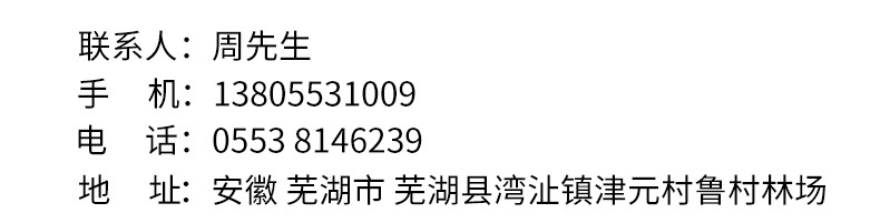 飞越食品瓜子_19