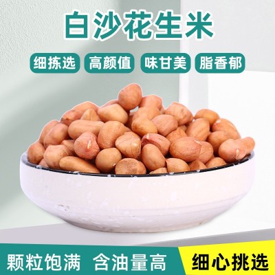 厂家批发白沙花生米 商用烘焙奶茶店 农家红衣大粒饱满花生米仁图2