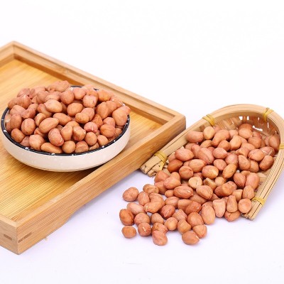 厂家批发白沙花生米 商用烘焙奶茶店 农家红衣大粒饱满花生米仁图3