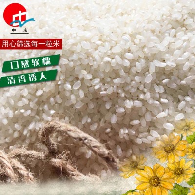产地批发新米10kg袋装供应9108河水灌溉图3