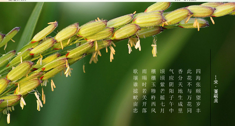 9108合_07.jpg