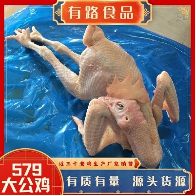 有路冷冻579公鸡 冻鸡调理辣子鸡原料 冻品小公鸡 一手货源