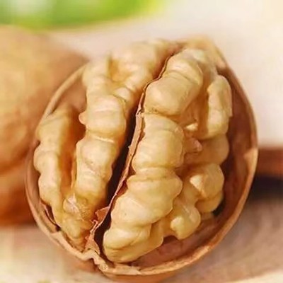 【代发】新疆纸皮生核桃批发500g 185大核桃手剥即开阿克苏生核桃图2