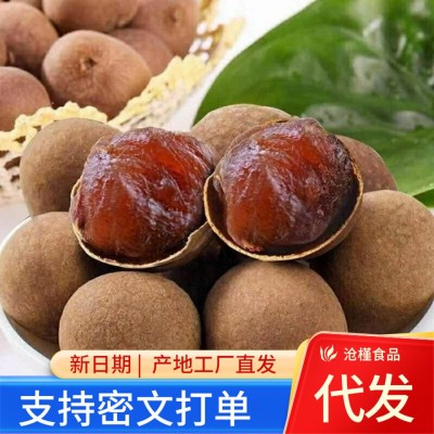 【代发】福建莆田桂圆干大A果批发500g 新货小核龙眼果干桂圆干