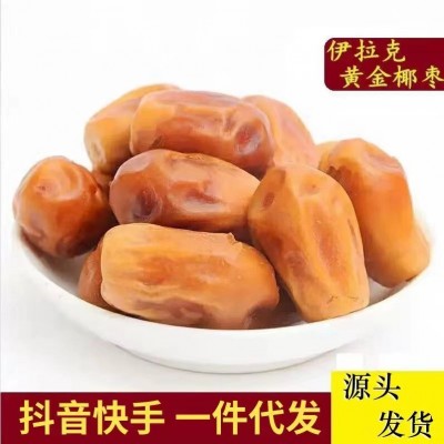 代发黄椰枣大颗粒椰枣阿联酋迪拜椰枣伊拉克椰枣