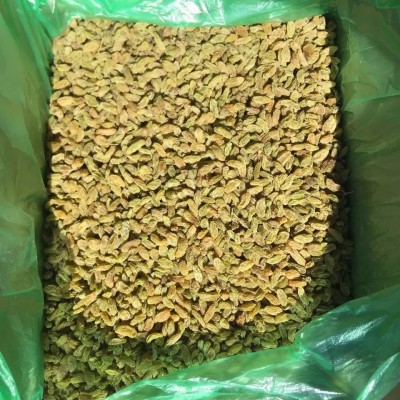 新货新疆吐鲁番葡萄干树上黄绿葡萄干超大颗粒无核葡萄干图3