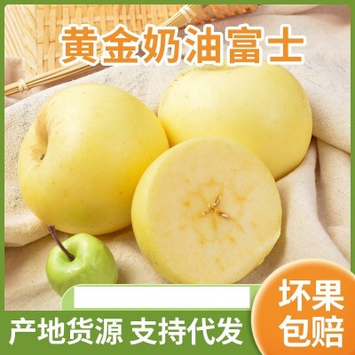 烟台苹果批发新鲜水果批发山东奶油富士黄金苹果5\10斤整箱代发